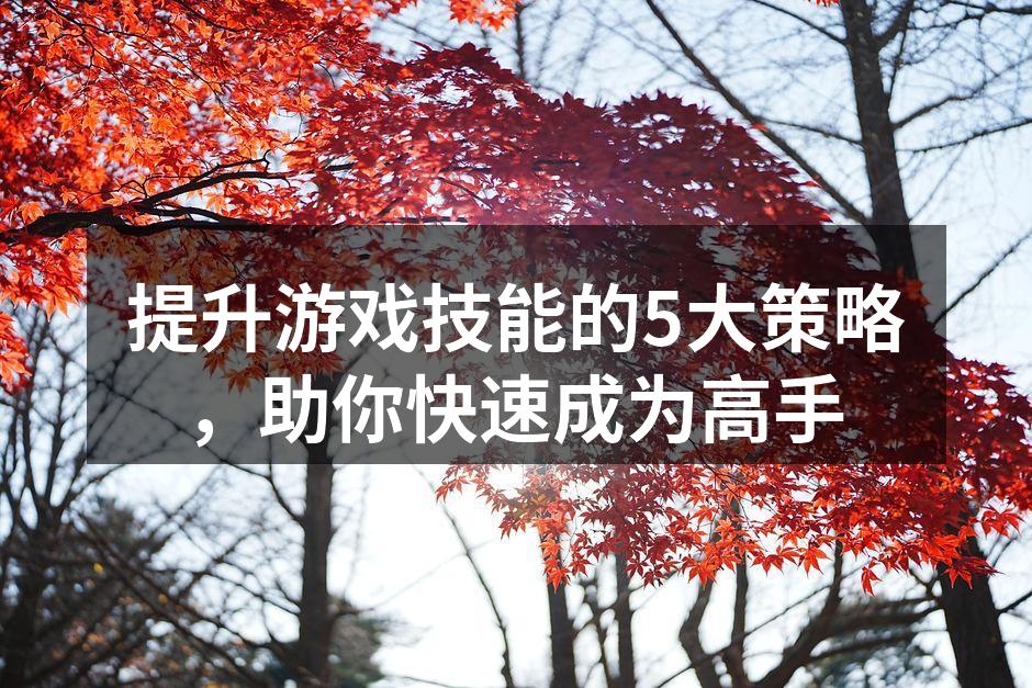 提升游戏技能的5大策略，助你快速成为高手